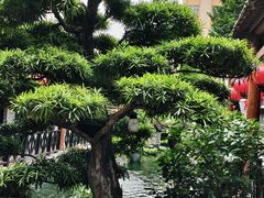 -猪肉婆私房菜(容桂总店)