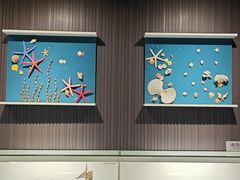 -青岛贝壳博物馆