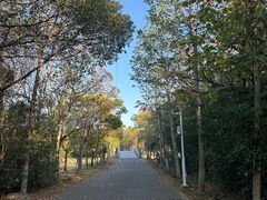 -上海海湾国家森林公园