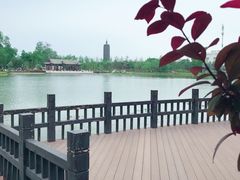-西海子公园