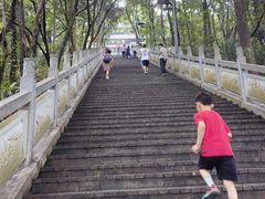 -成都老君山