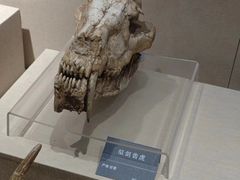 -安徽省地质博物馆