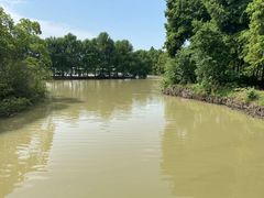 -上海海湾国家森林公园