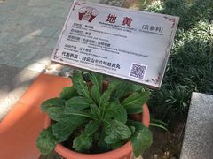 -广州神农草堂中医药博物馆