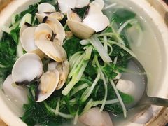 -鹅城
