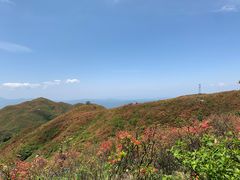 -大围山国家森林公园