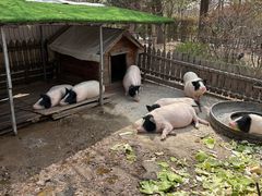 -清河半岛温泉度假酒店