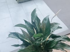 -天怡·鱼工厂(梅溪湖店)