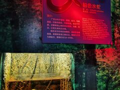 -广州长隆飞鸟乐园