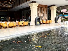 -西双版纳融创皇冠假日度假酒店