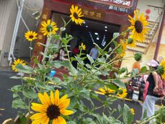-红星光发煲仔饭(大石街店)