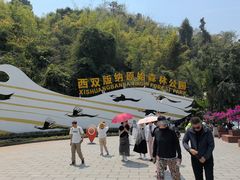 -西双版纳原始森林公园