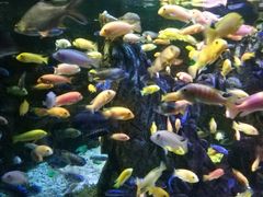 -太平洋海底世界