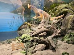 -辽宁古生物博物馆