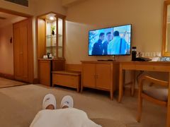 -南京维景国际大酒店(南京博物院店)