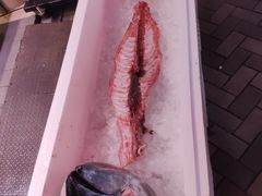 -大起水产回转寿司(道顿堀店)