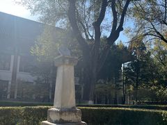 -北京大学赛克勒考古与艺术博物馆
