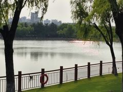 -黄兴公园