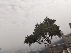 -广州市白云山风景名胜区
