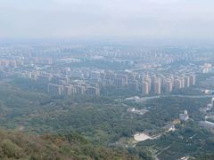 -杭州半山国家森林公园