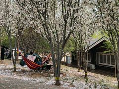 -永定河休闲森林公园