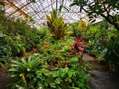 -墨尔本皇家植物园