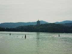 -西湖游船