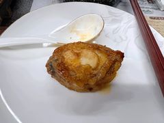-广州都市观光巴士(粤陶巴)
