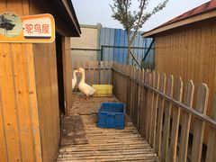 -上海崇明金茂凯悦酒店