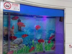 -雅悦齿科(顾村公园店)