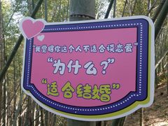 -宁波浙东大竹海景区