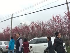-汤峪温泉碧水湾