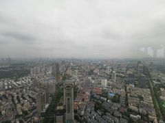 -紫峰大厦