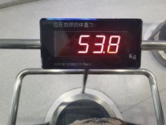-上海儿童博物馆