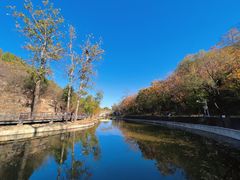 -白水寺森林公园