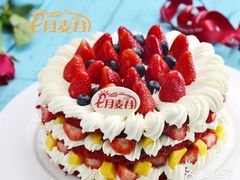 -维尔纳斯·生日蛋糕·动物奶油冰淇淋蛋糕(六里桥店)