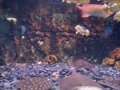 -华夏文旅西安度假区