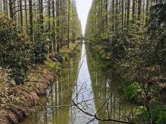 -东平国家森林公园