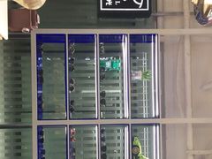 -鲸渝眼镜·浅目视光(春熙路店)
