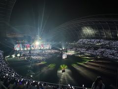 -奥体中心(地铁站)