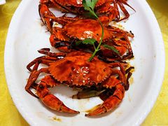 -台山美食一绝阿四台山黄鳝饭(阿四创作店)