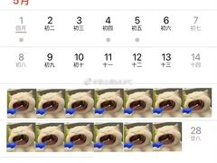 -首都电影院(天津店 中国巨幕)