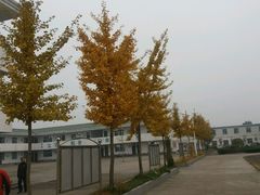 -南湖国家城市湿地公园
