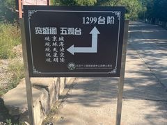 -北京十三陵国家森林公园蟒山景区