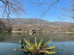 -紫霞湖公园