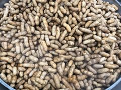 熟花生-南门绿玉农贸市场