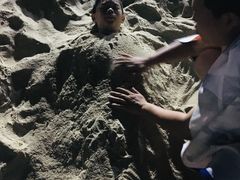 -玫瑰海岸文化旅游度假区