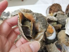 -宾朋海鲜饭庄(兴海路店)