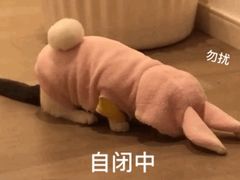 -瑞吉酒店·The Drawing Room闲逸廊·云端下午茶·夜奢Whiskey