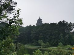 -铁山坪森林公园